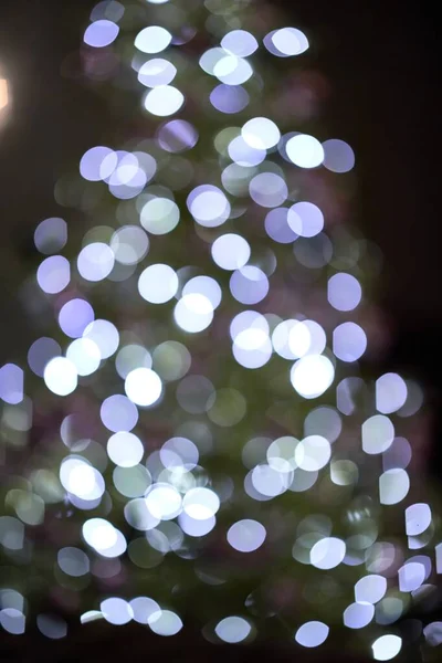 Kerstboom decoratie unfocused wazig achtergrond — Stockfoto