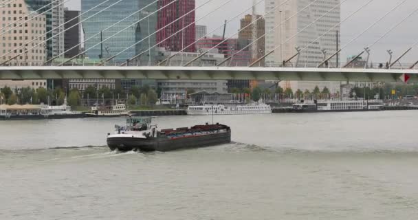 Cargo ship sailing through the city of Rotterdam — Stock Video