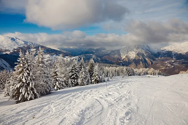 Skiën — Stockfoto