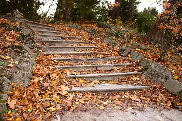 Autumn stairs — Stock Photo, Image