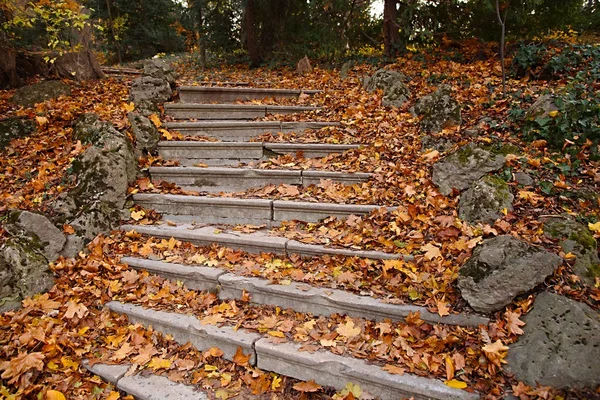 Autumn stairs — Stock Photo, Image