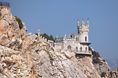 Kırlangıçlar nest