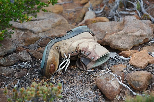 Alter schuh — Stockfoto