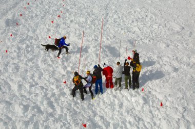 Avalanch arama