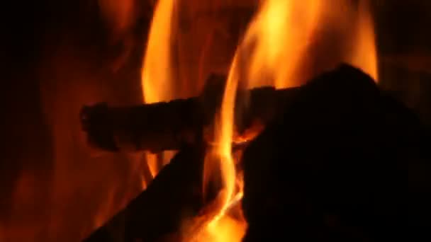 불꽃 — 비디오