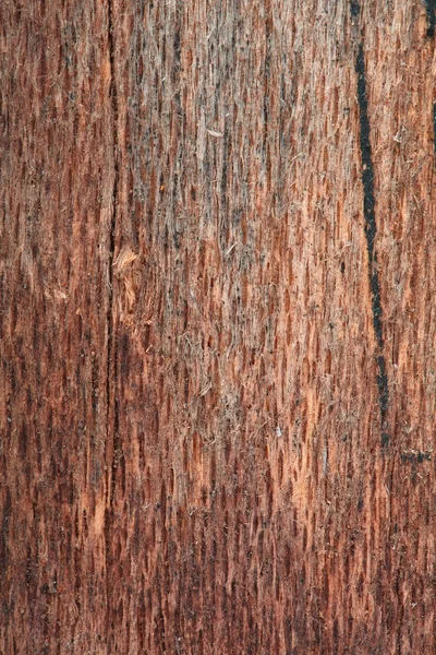 Wood texture — Stock Photo, Image