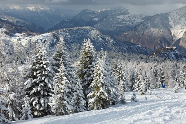 Vinterlandskap — Stockfoto