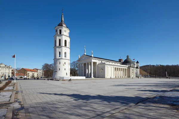 Vilnius-Kathedrale — Stockfoto