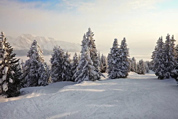 Paesaggio invernale — Foto Stock