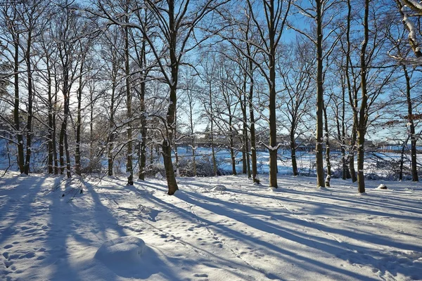 Vinterparken — Stockfoto