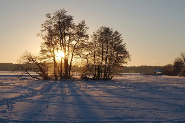 Winterlandschap — Stockfoto