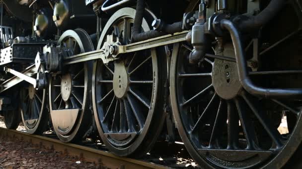 Locomotora de vapor — Vídeo de stock