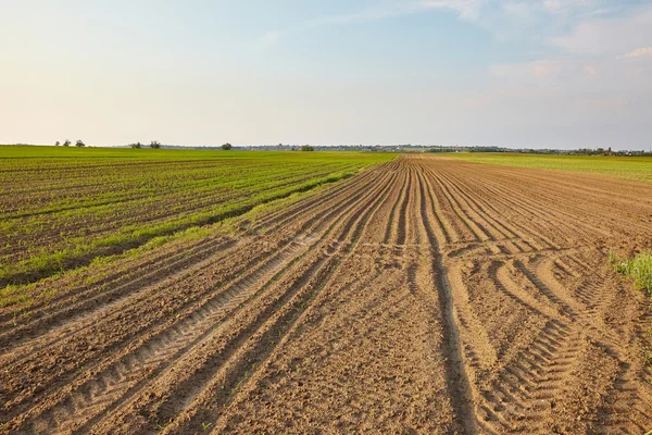 Agricoltura — Foto Stock