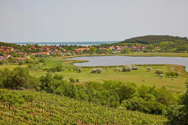 Landskap — Stockfoto