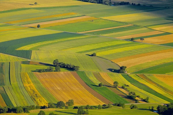 Mezők — Stock Fotó