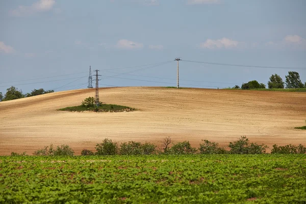 Campo agircutural — Fotografia de Stock