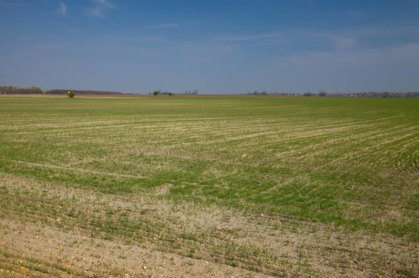 Landbouw — Stockfoto