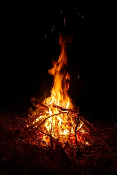 Feu de camp — Photo