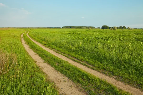 Veld met pad — Stockfoto