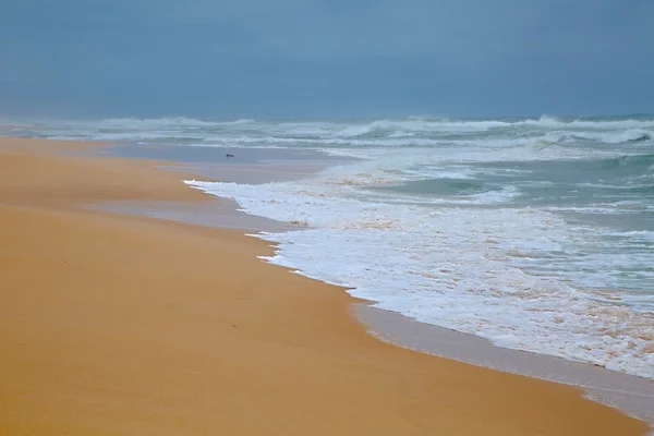 Ocean Beach — Stock Photo, Image