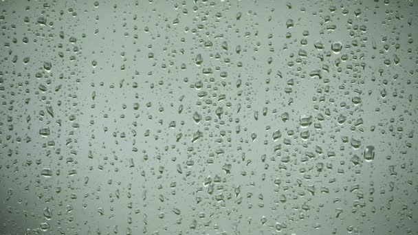 Regnfönstrets yta — Stockvideo