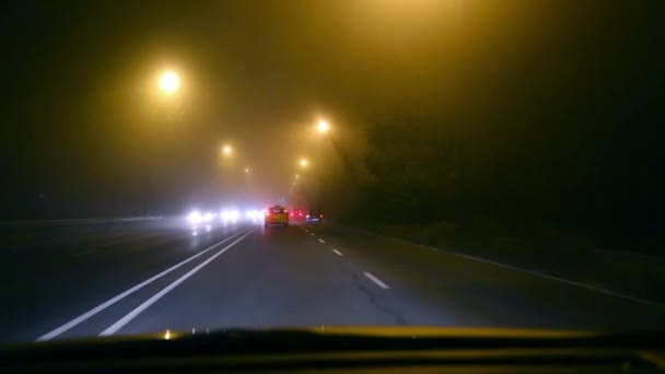 Conducir en la niebla — Vídeo de stock