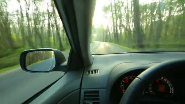 Homem está dirigindo carro através de uma floresta — Vídeo de Stock