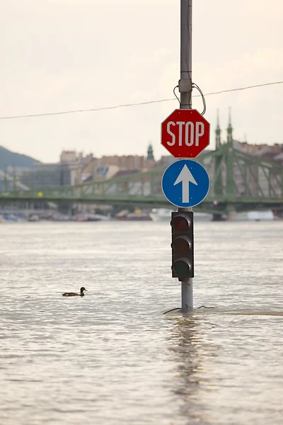 Затоплена вулиця в Будапешті — стокове фото