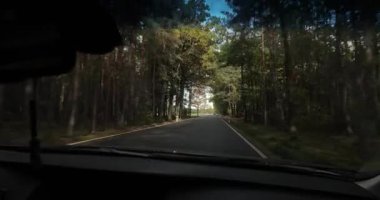 Dar manzaralı bir yolda sonbahar manzarası