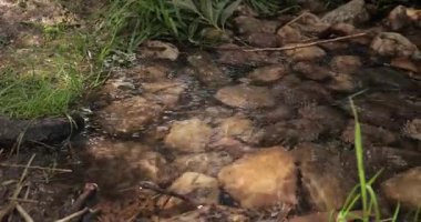 Sakince akan temiz su üzerindeki küçük dağ deresi, ilkbaharda saf kaynak.