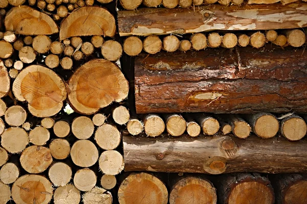 Log Pile — Stock Photo, Image