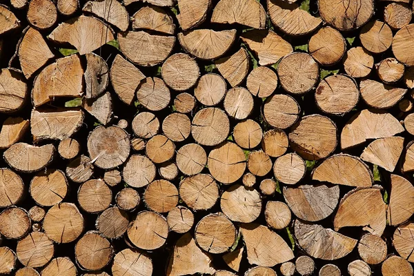 Madeira pilha de madeira — Fotografia de Stock