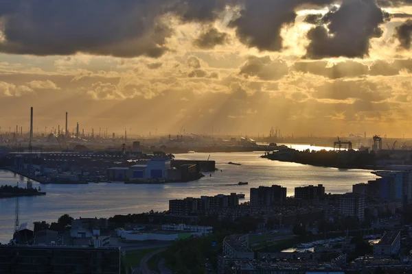 Rotterdam Dämmerung Panorama — Stockfoto