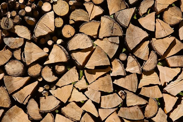Log pilha closeup — Fotografia de Stock
