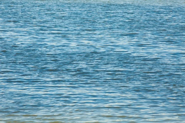 su yüzey dalgaları