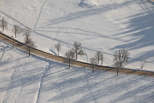 Зимова дорога з деревами — стокове фото