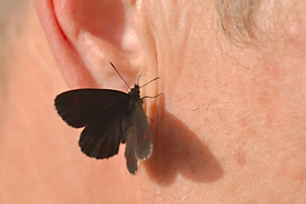 Borboleta em pele — Fotografia de Stock