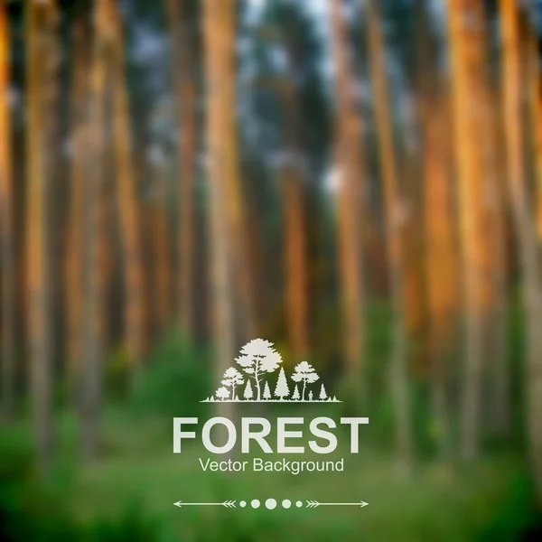 Vector blurred forest background — Stock Vector