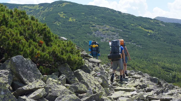 Arrampicata in montagna — Foto Stock