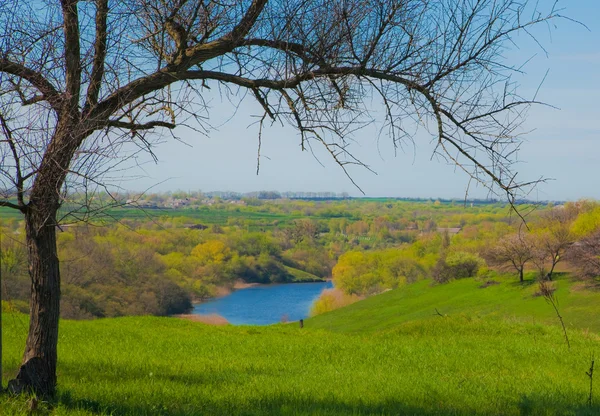 풍경입니다. 봄입니다. 강입니다. 하늘입니다. 자연 — 스톡 사진