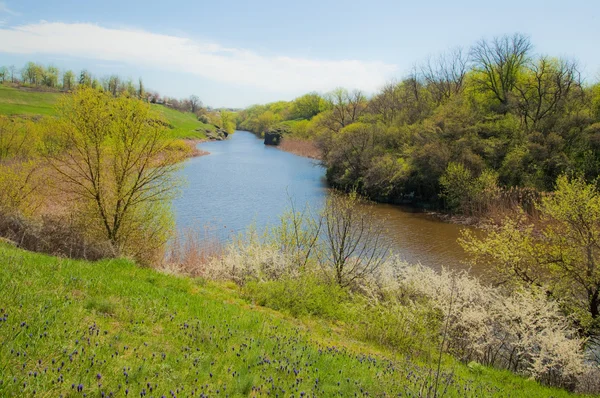 Landschap. Lente. Rivier. Hemel. Natuur — Stockfoto