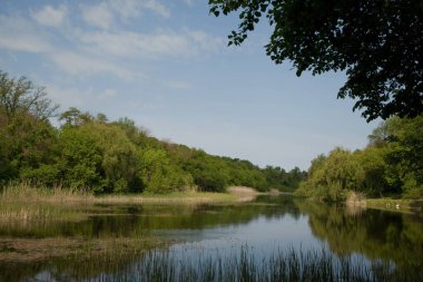 Tyasmin Kanyonu 'ndaki nehrin sabah manzarası.