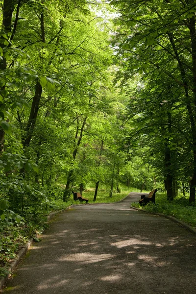 川沿いの公園の路地 — ストック写真