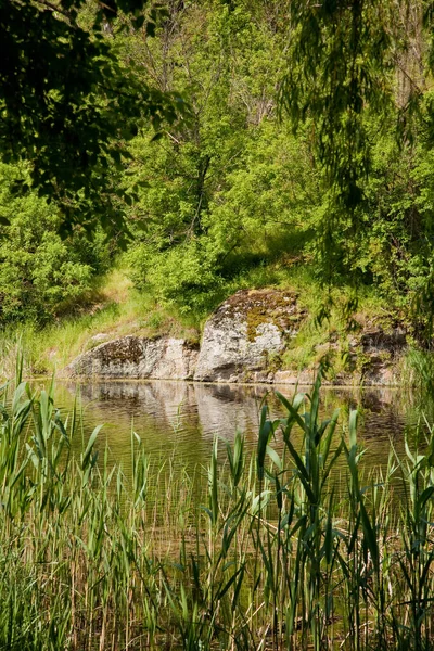 Tyasmin Kanyonu 'ndaki nehrin sabah manzarası.