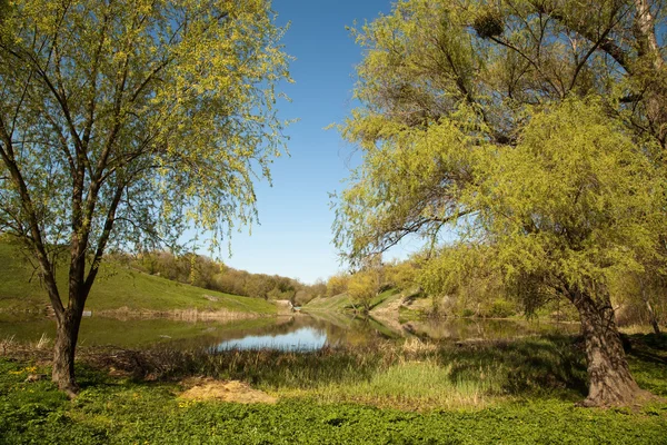 Paysage sur la rivière — Photo