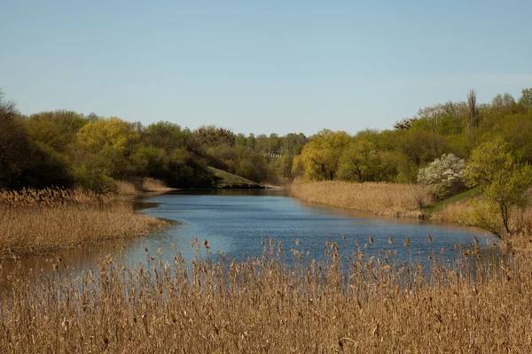 Paesaggio sul fiume — Foto Stock