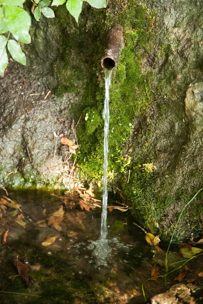 Source d'eau Photo De Stock