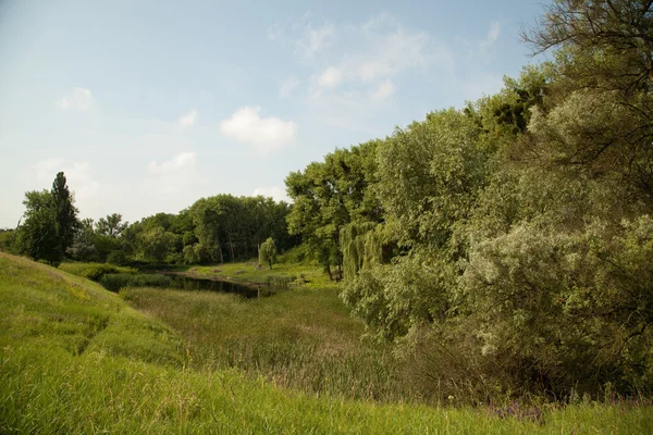 Paesaggio estivo — Foto Stock