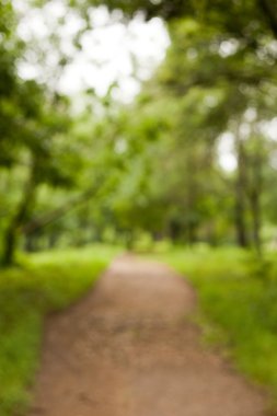 soyutlama. doğa. Park