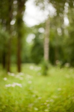 soyutlama. doğa. Park